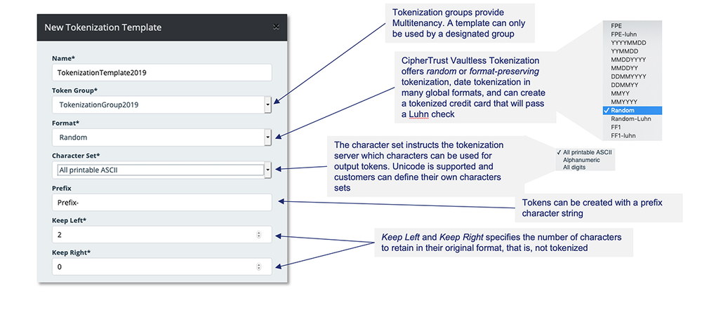 CipherTrust Tokenization Screenshot 1