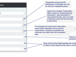 CipherTrust Tokenization Screenshot 1