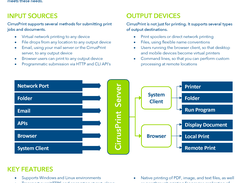 SDSI CirrusPrint 3.0 Datasheet