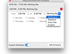 The Custom Schedule dialog