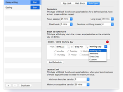 Configure the Pomodoro timer, schedule your focus time, or set a daily limit.