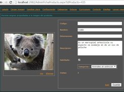 Ficha propiedades de la imagen