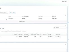 Clarizen Task Details