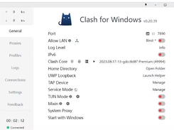 Clash for Windows Screenshot 1