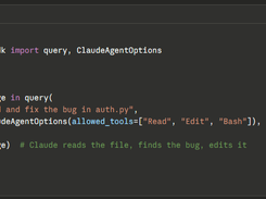 Claude Agent SDK Screenshot 1