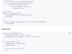 Claude Code SDK Python Screenshot 1