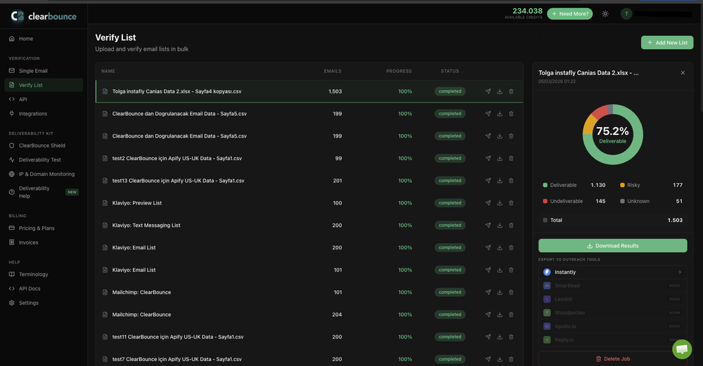 Bulk Email Verification