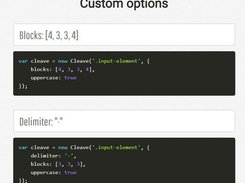 Cleave.js Screenshot 2