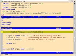 VimGdb with gdb window at top and gdb command line below