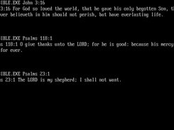 CLI-Bible-Reader Screenshot 2