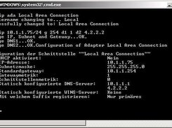 Choose Adapter and Switch IP Gateway and DNS Servers