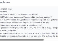 clip-vit-base-patch16 Screenshot 1