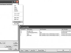 Shows some features: Find, Format Editor, Context menu