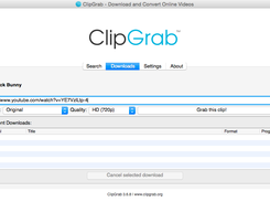 ClipGrab Screenshot 2