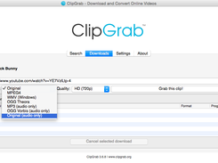 ClipGrab Screenshot 1