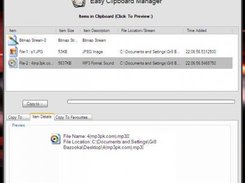 A screenshot shown the item details of a copied file