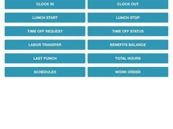 ClockVIEW App Punch Panel