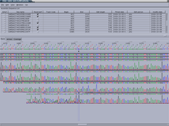 Contig View with multiple chromatograms open