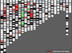 Example data output in viewer