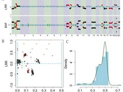 CHAT analysis on one TCGA breast cancer sample