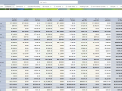 CloudBudget P & L report example