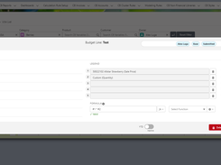 CloudBudget Formula Settings 