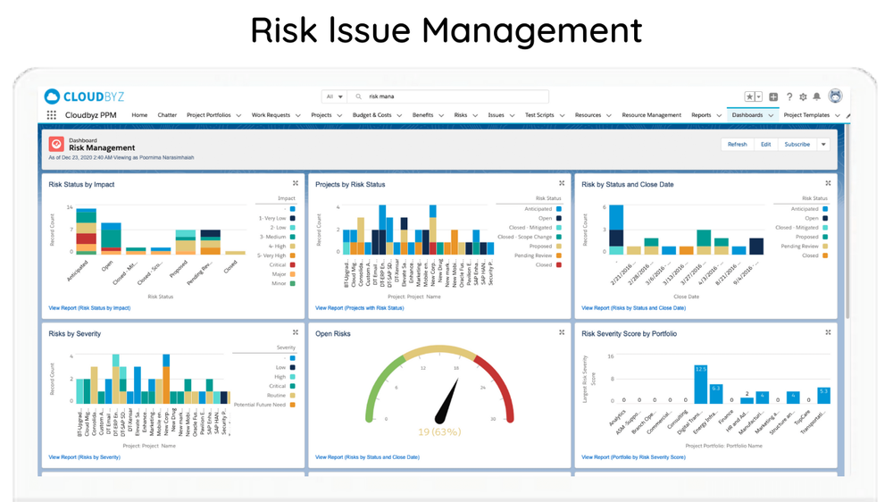 Risk Issue management