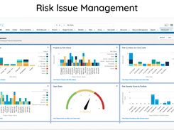 Risk Issue management