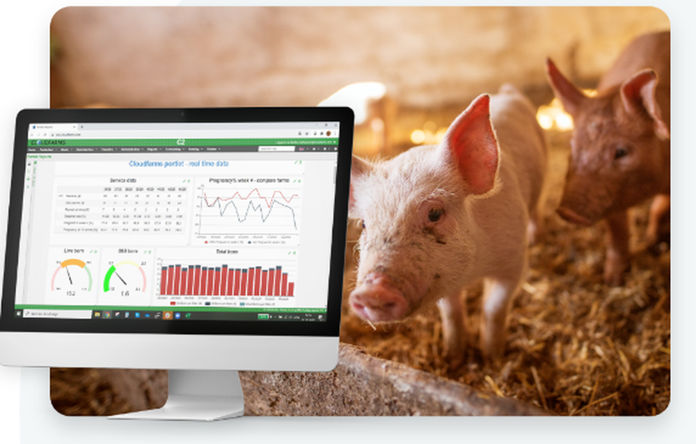 Cloudfarms Pig Production Management Screenshot 1