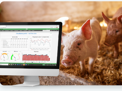 Cloudfarms Pig Production Management Screenshot 1