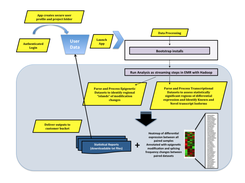 AWS Workflow Summary