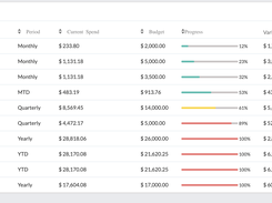 Cloudspend budget view