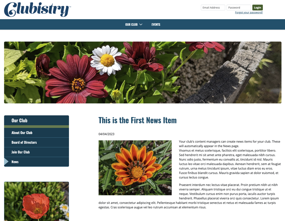 Example Club Homepage