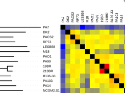 ClustAGE Screenshot 2