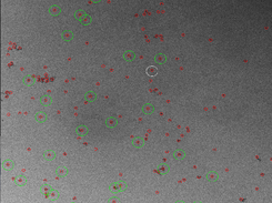 ClusterAlign Screenshot 2