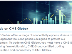 CME Globex Screenshot 1