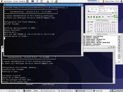 Coarse Client and Server running