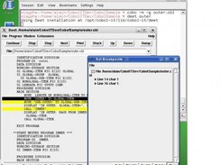 The COBOL Debugger (See Breakpoint list)