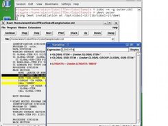 The COBOL Debugger (Watch field value)