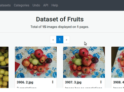 COCO Annotator Screenshot 1