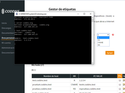 coddns v2: ejemplo de funcionamiento