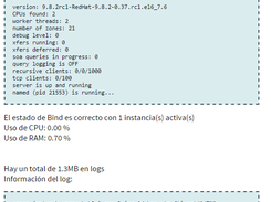 coddns v2: Estado del servicio DNS