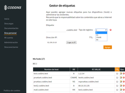 coddns v2: tipos de registro