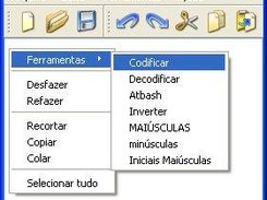 Tools menu on WinXP and in pt_BR