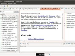 CE with wikipedia data model (Search View) 