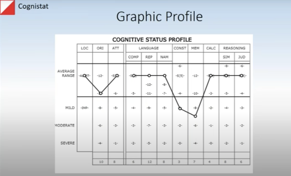 Cognistat Assessment System Screenshot 1