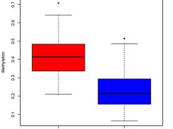 Box Plot