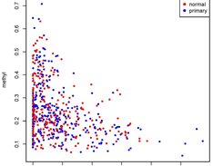 Scatter Plot