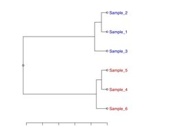 dendrogram
