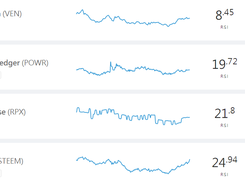 CoinLoop Screenshot 1